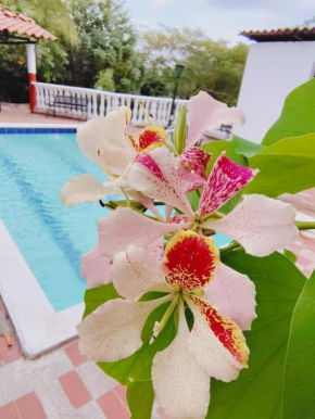 VILLA CAMPESTRE LGBTI swg